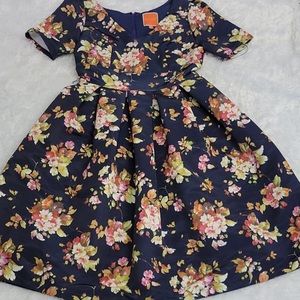 Beautiful dress fit & flare like new